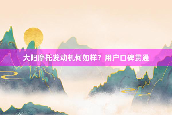 大阳摩托发动机何如样？用户口碑贯通